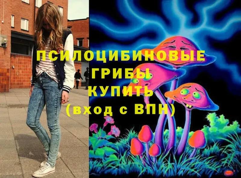 как найти закладки  Черкесск  Псилоцибиновые грибы Psilocybe 